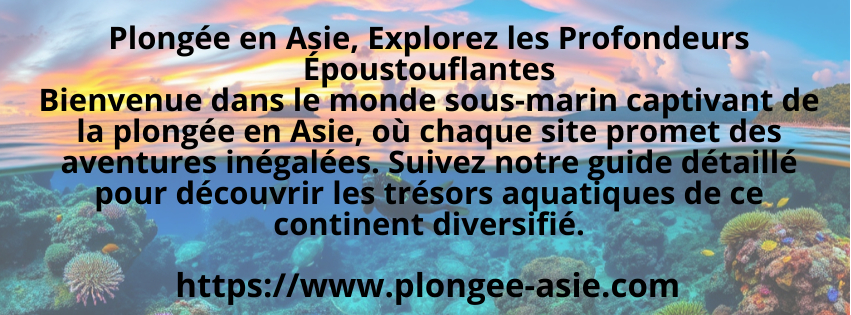 Plongée en Asie, Explorez les Profondeurs Époustouflantes bienvenue dans le monde sous-marin captivant de la plongée en Asie, où chaque site promet des aventures inégalées. Suivez notre guide détaillé pour découvrir les trésors aquatiques de ce continent diversifié.